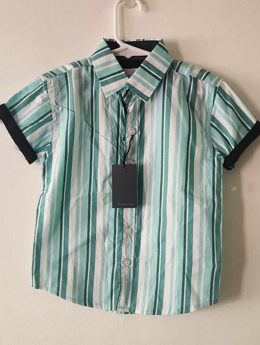 Boys' Mint & White Striped Short-Sleeve Button-Down Shirt